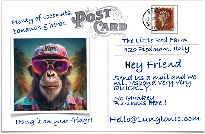 Postcard popup